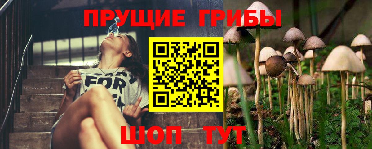 Шелехов  Псилоцибиновые грибы MAGIC MUSHROOMS  где найти   Вход с VPN 